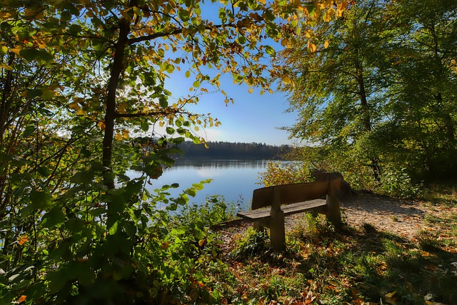 意甲前瞻：那不勒斯伤兵满营，尤文近期迎来强势反弹